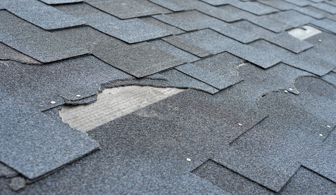 Roof Leaks 101 – Warning Signs and How to Address Them