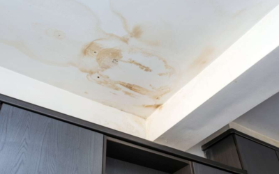 Mitigating Damage from a Roof Leak: Essential Steps for Baton Rouge Homeowners